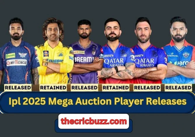 Ipl 2025 Mega Auction Player Releases